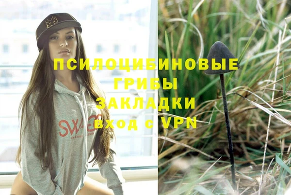 дмт Арсеньев