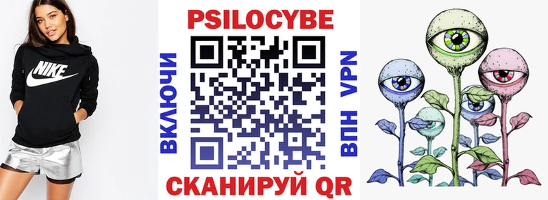 Псилоцибиновые грибы Cubensis  ссылка на мегу зеркало  Урус-Мартан  сколько стоит 